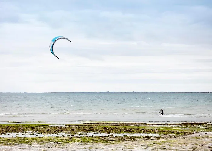 Grande Maison Independante 4 Chambres, Animaux Admis, A 600m De La - Fr-1-194-318